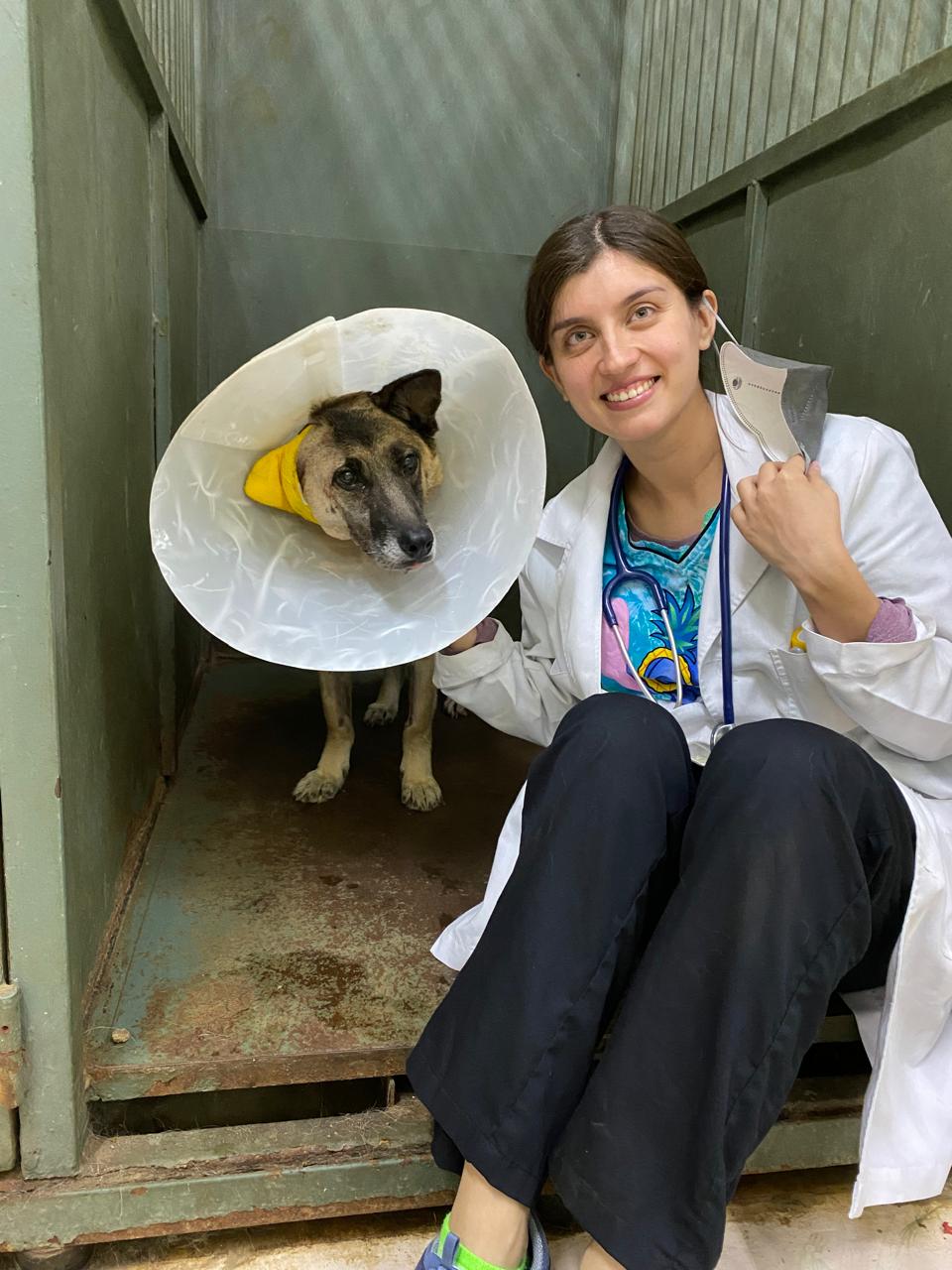 HakiVET - Dra. Catherinne con perro en recuperación