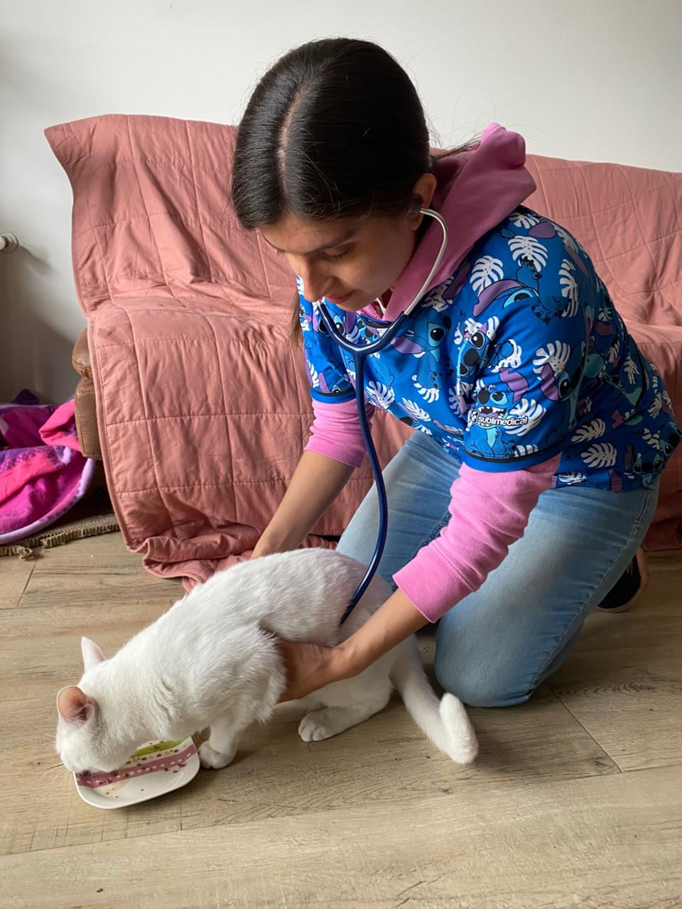 HakiVET - Consulta veterinaria a domicilio con gato